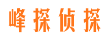 北湖侦探公司